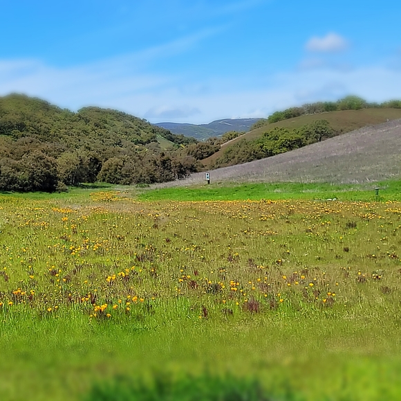 Meet your Posher, Jamie - Picture 3 of 8